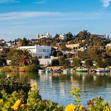 Appartement A Carthage Byrsa エクステリア 写真
