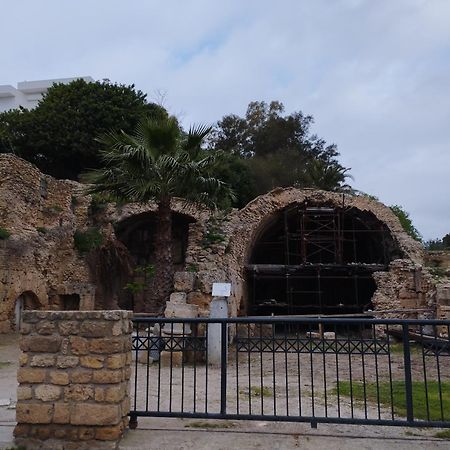 Appartement A Carthage Byrsa エクステリア 写真