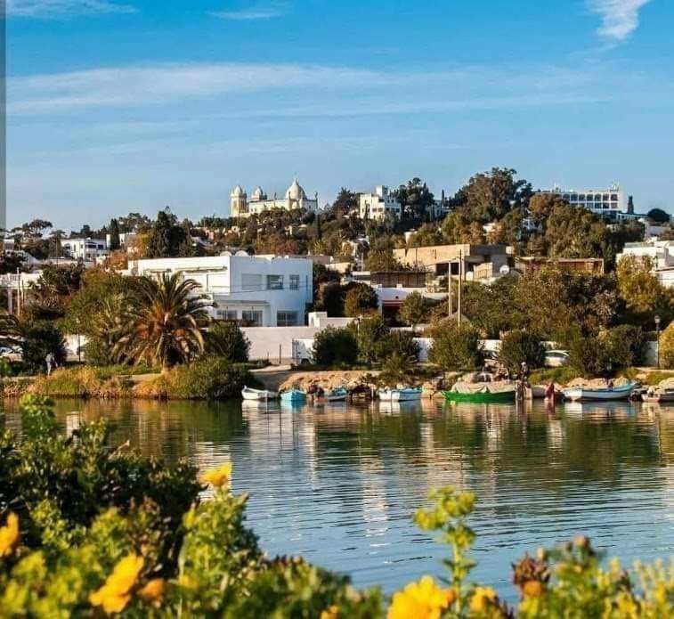 Appartement A Carthage Byrsa エクステリア 写真