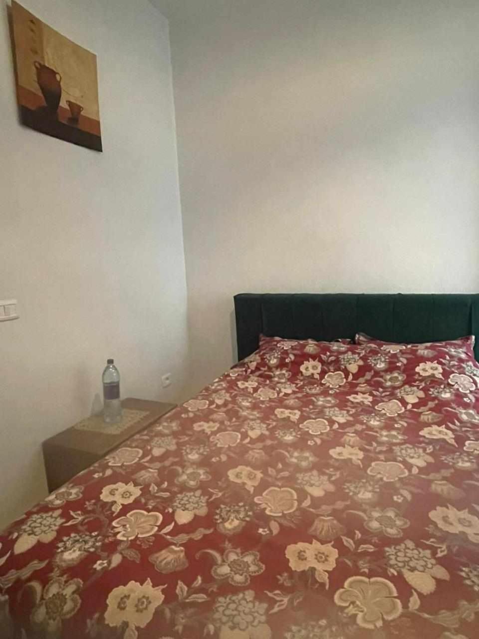 Appartement A Carthage Byrsa 部屋 写真