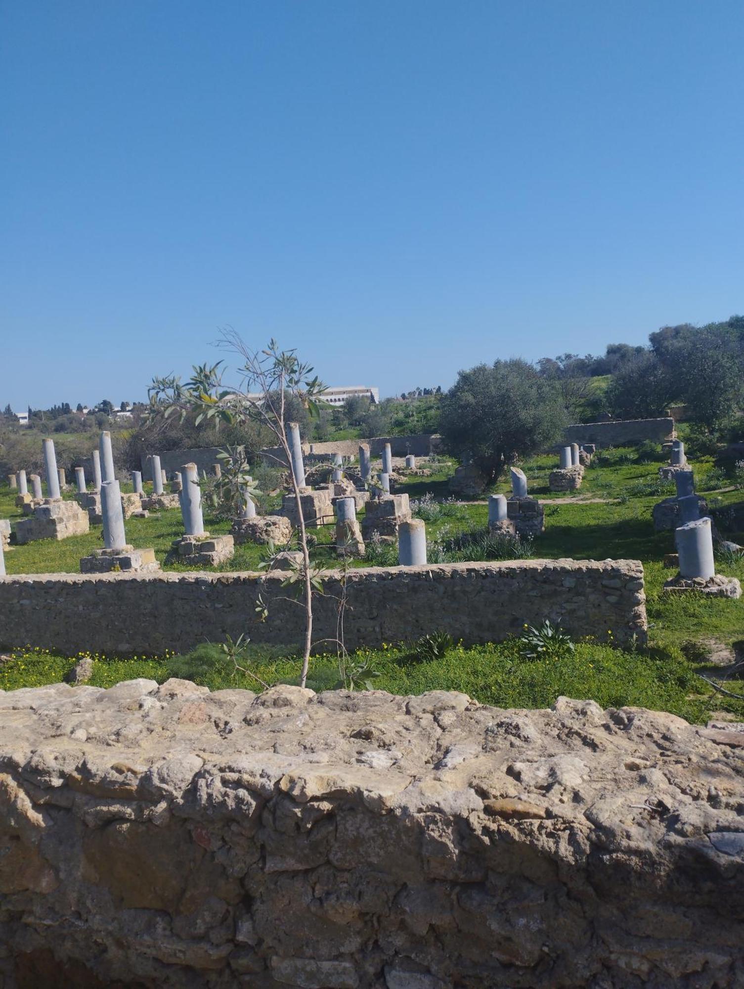 Appartement A Carthage Byrsa エクステリア 写真