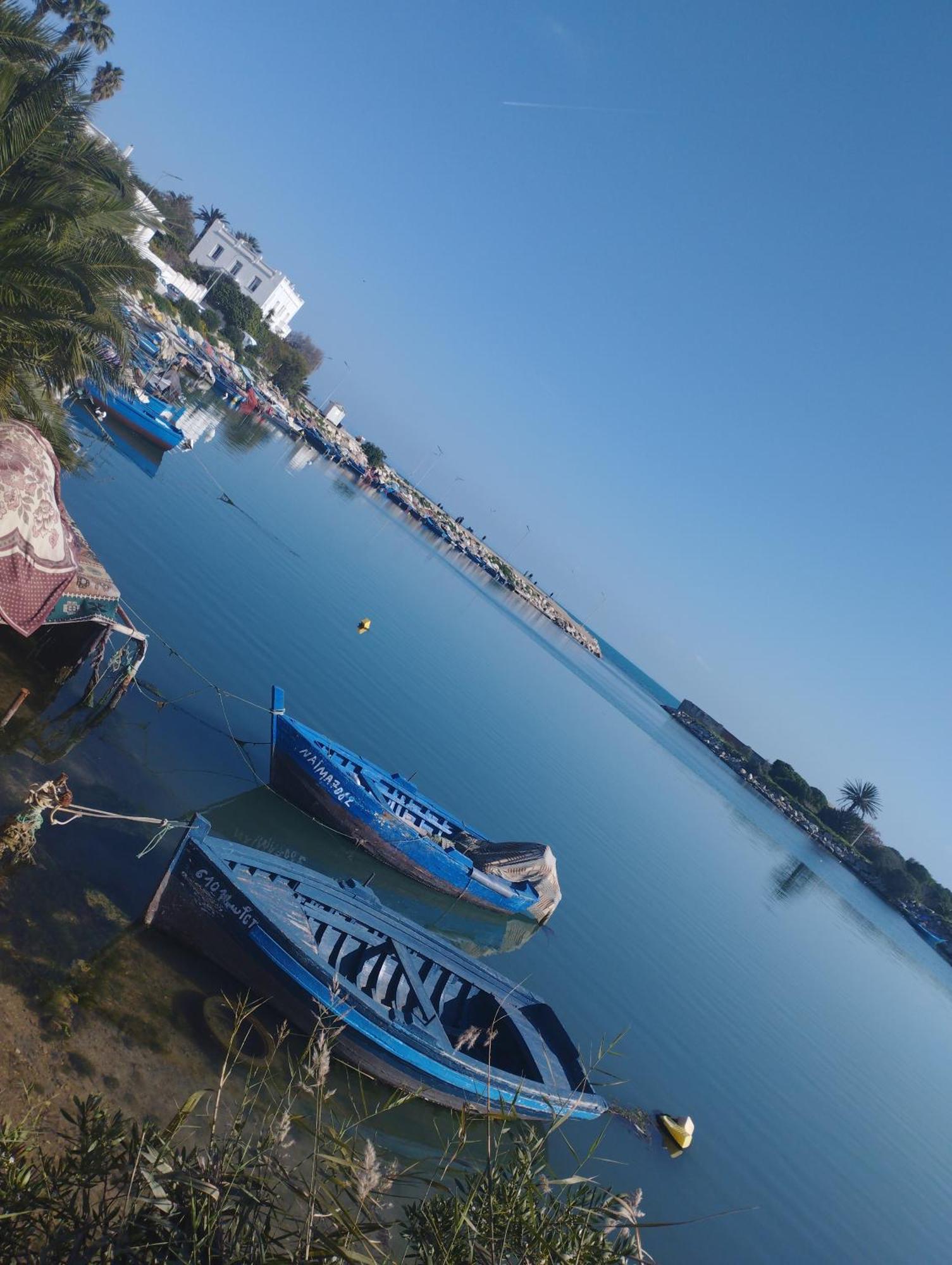 Appartement A Carthage Byrsa エクステリア 写真